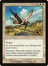 23-swoopingtalon.jpg