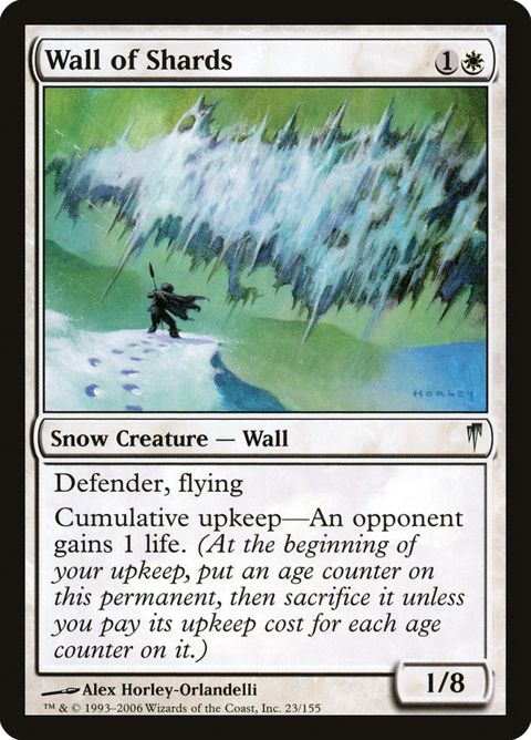 23-wallofshards.jpg