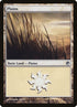 230-plains.jpg