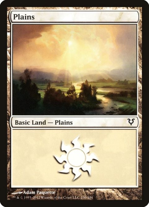 230-plains.jpg