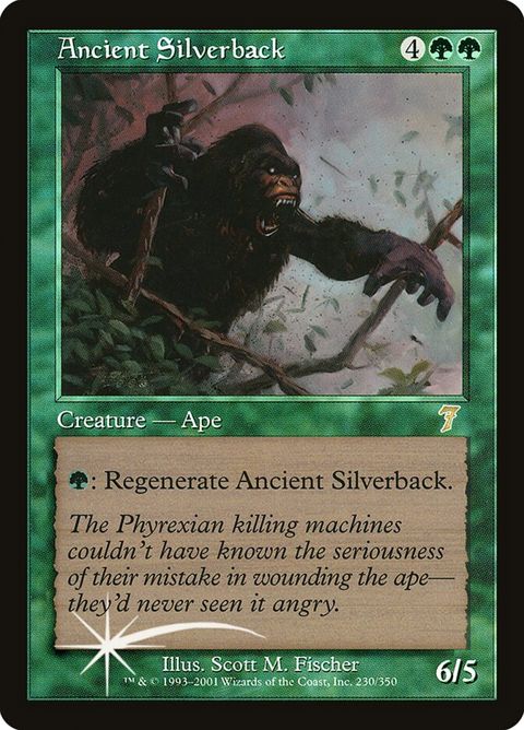 230★-ancientsilverback.jpg
