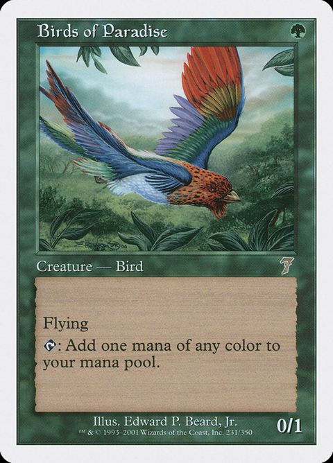 231-birdsofparadise.jpg
