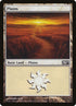 231-plains.jpg