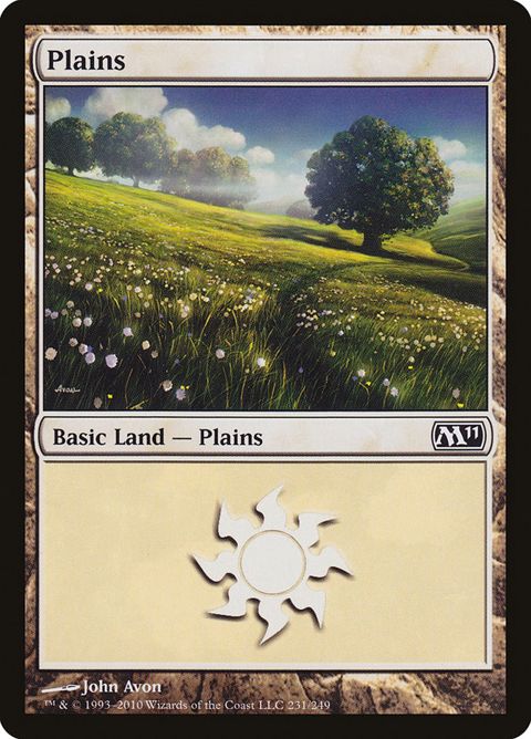 231-plains.jpg