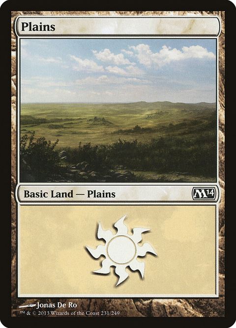 231-plains.jpg