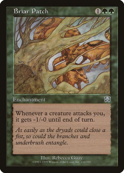 232-briarpatch.jpg