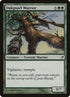 232-oakgnarlwarrior.jpg