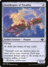 232-ornithopterofparadise.jpg
