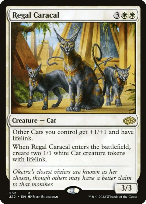 232-regalcaracal.jpg