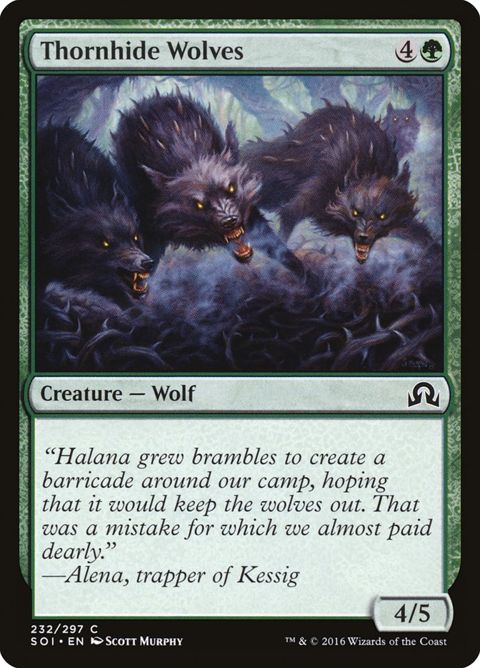 232-thornhidewolves.jpg
