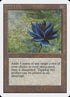 233-blacklotus.jpg