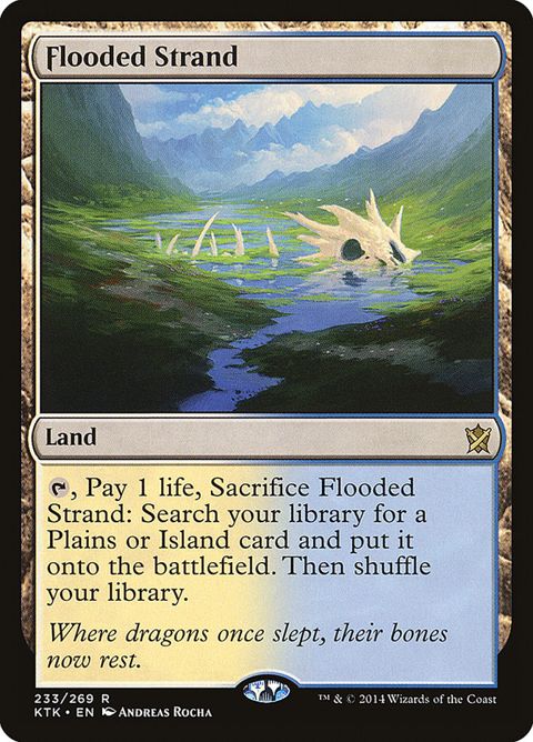233-floodedstrand.jpg