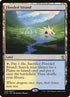 233-floodedstrand.jpg