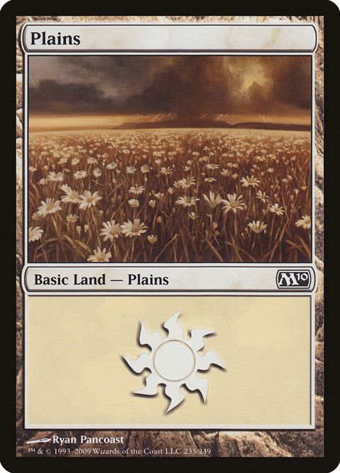 233-plains.jpg