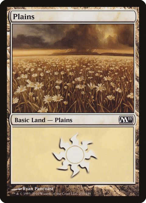 233-plains.jpg