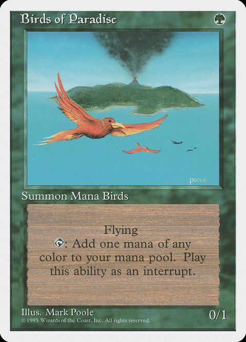 234-birdsofparadise.jpg