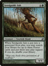 235-seedguideash.jpg