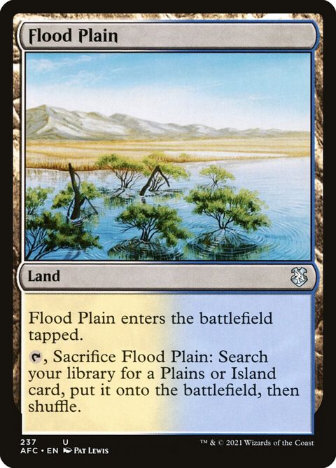 237-floodplain.jpg