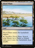 237-floodplain.jpg