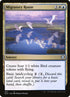 237-migratoryroute.jpg
