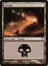 237-swamp.jpg