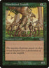 238-blanchwoodtreefolk.jpg