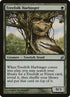 239-treefolkharbinger.jpg