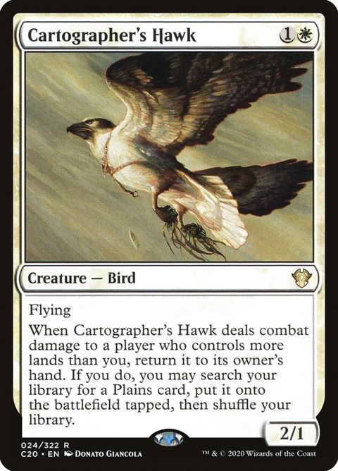 24-cartographershawk.jpg