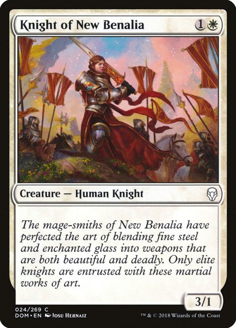 24-knightofnewbenalia.jpg