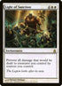 24-lightofsanction.jpg