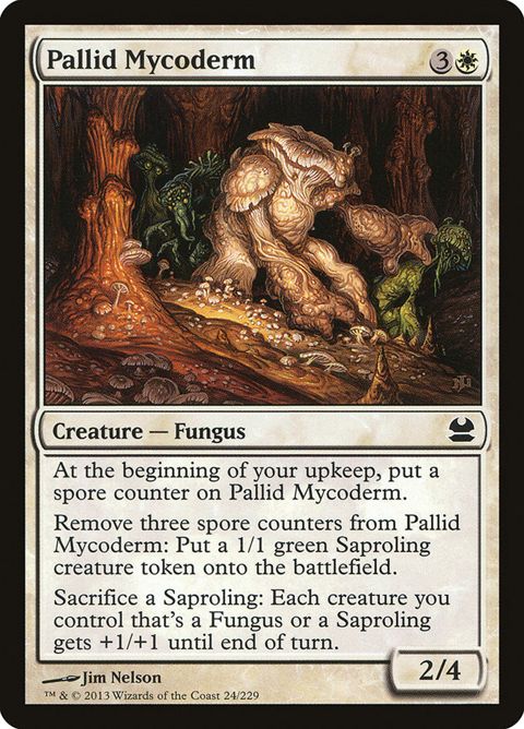 24-pallidmycoderm.jpg