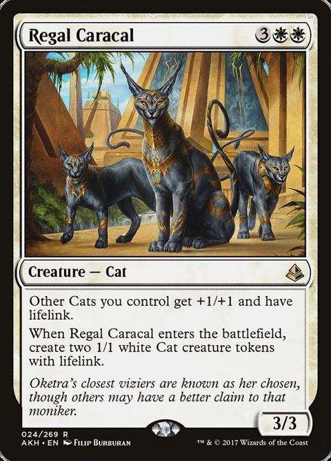 24-regalcaracal.jpg