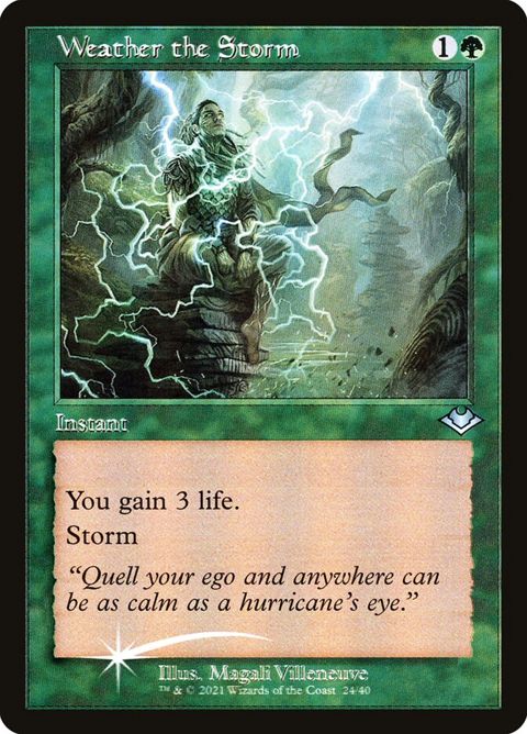 24-weatherthestorm.jpg