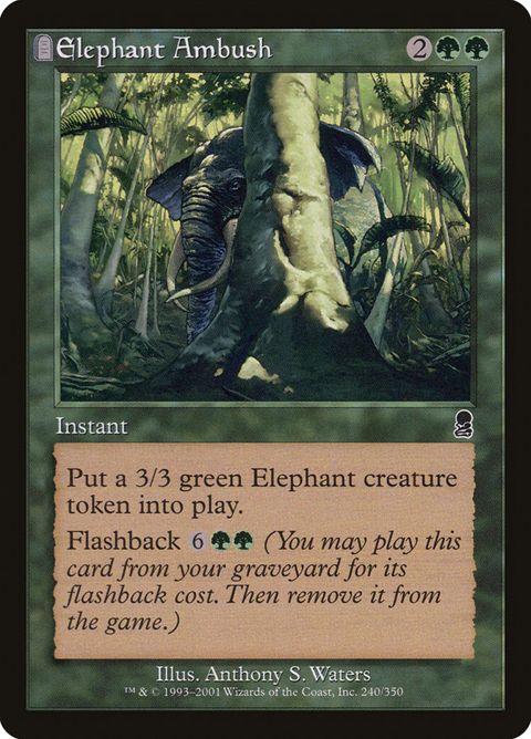 240-elephantambush.jpg