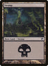 240-swamp.jpg