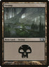 240-swamp.jpg