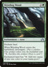 240-weirdingwood.jpg
