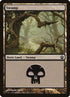 241-swamp.jpg