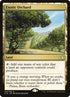 242-exoticorchard.jpg