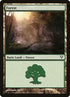 242-forest.jpg