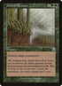243-deserttwister.jpg