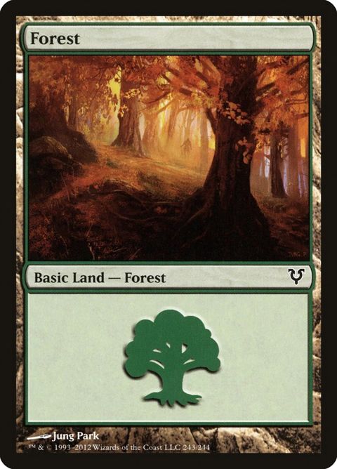 243-forest.jpg