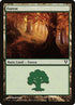 243-forest.jpg