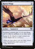 243-ravenwings.jpg
