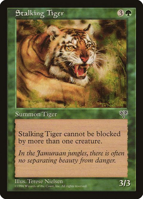 243-stalkingtiger.jpg