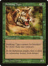 243-stalkingtiger.jpg