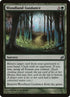 243-woodlandguidance.jpg
