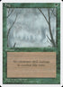 244-fog.jpg