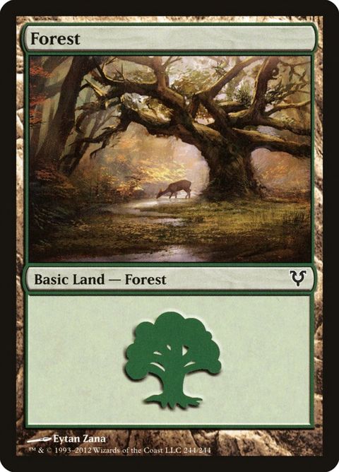 244-forest.jpg
