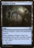 244-halimardepths.jpg
